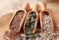 Seeds