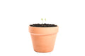 Pots & Planters