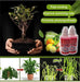 Plant Growth Enhancer Supplement (Pack of 3)