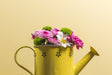 Yellow watering can