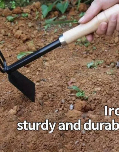 6502
